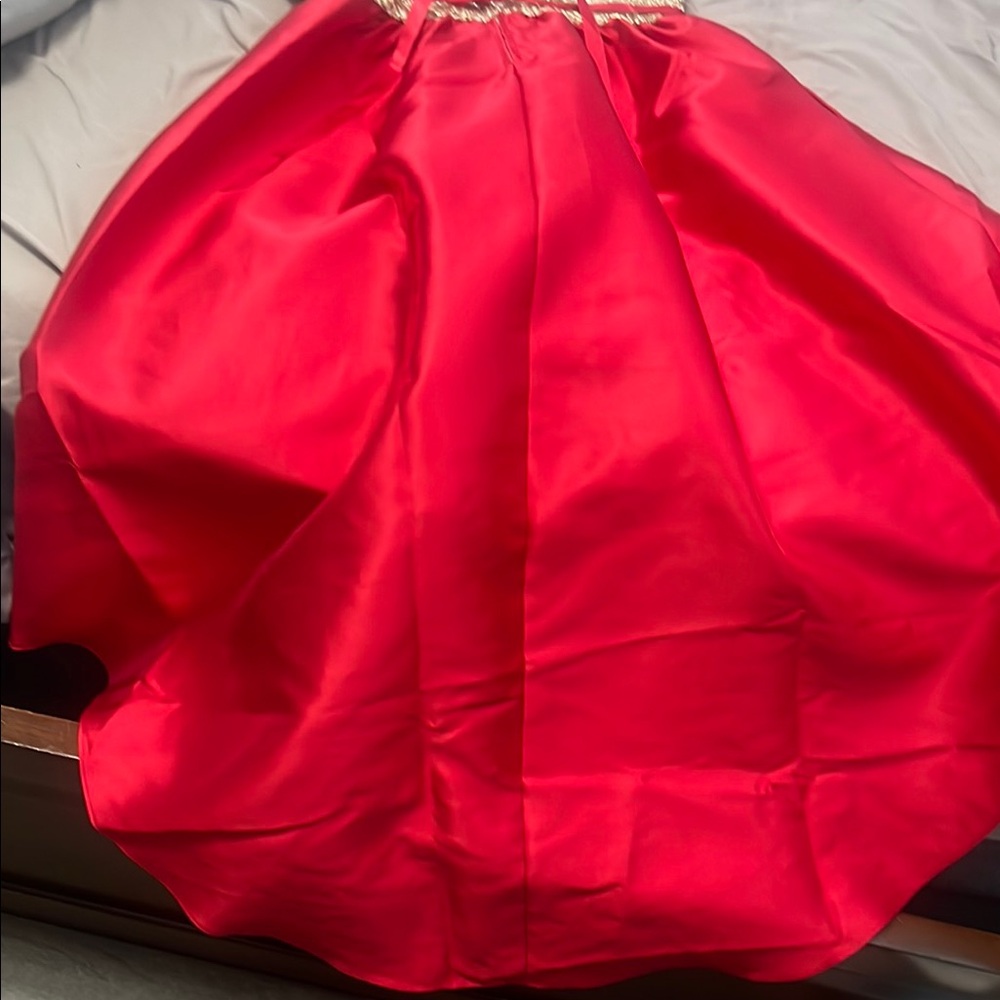 Rare Editions Red and Cream Pleated Gown for Weddings - Picture 4 of 4